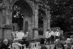 IMG_6247 IMG_6247
