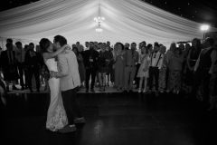 IMG_7938 IMG_7938