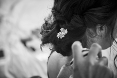 IMG_7459 IMG_7459