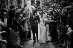 IMG_8569 IMG_8569