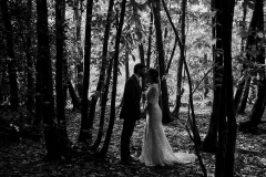 IMG_8644 IMG_8644