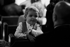 IMG_5709 IMG_5709