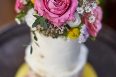 IMG_9246 IMG_9246