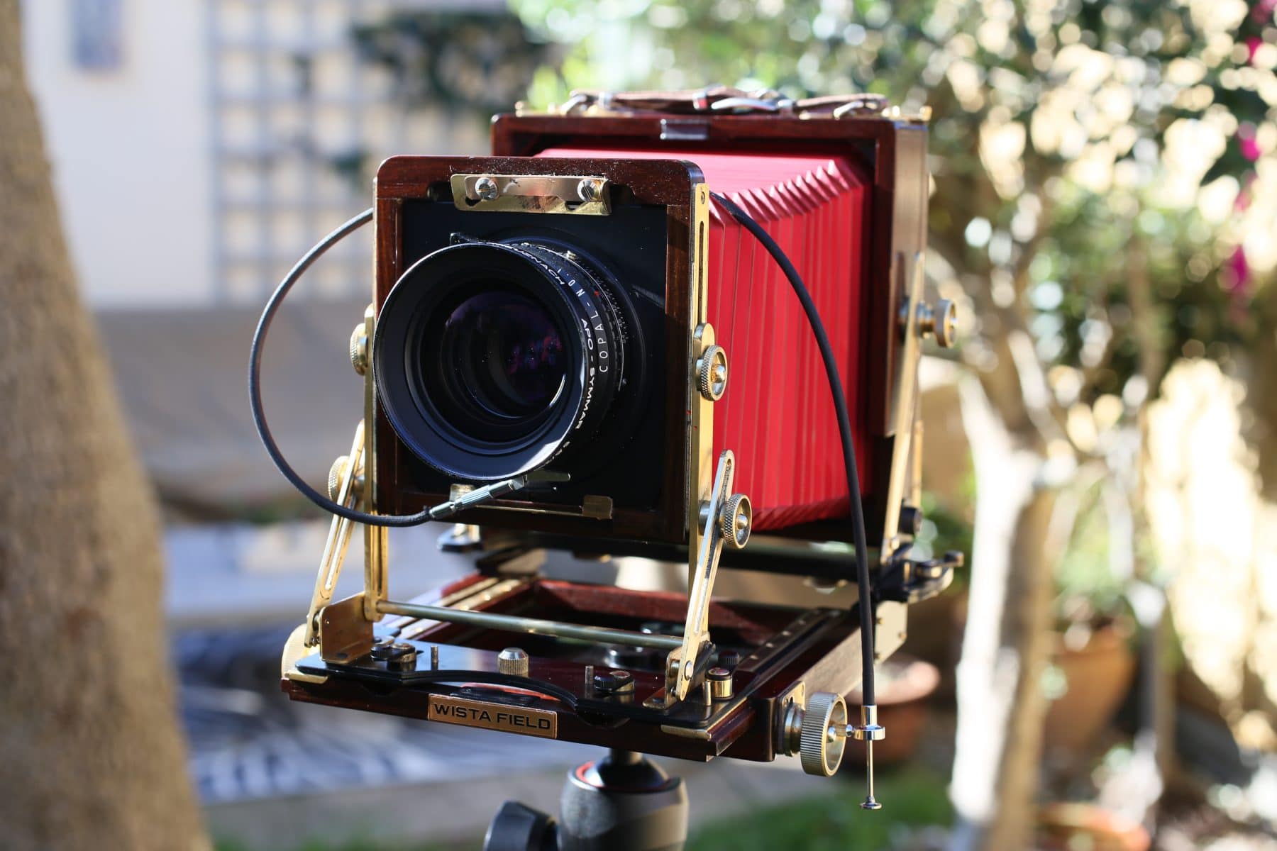 Film photographer portrait and wedding